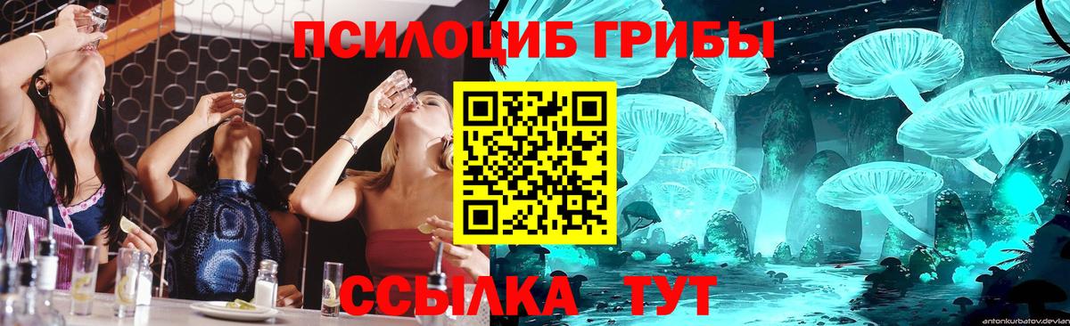 Галлюциногенные грибы Psilocybe Крымск