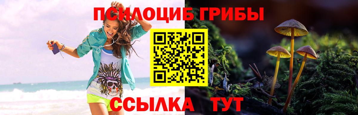 Крымск  Псилоцибиновые грибы прущие грибы  магазин    Вход с VPN 